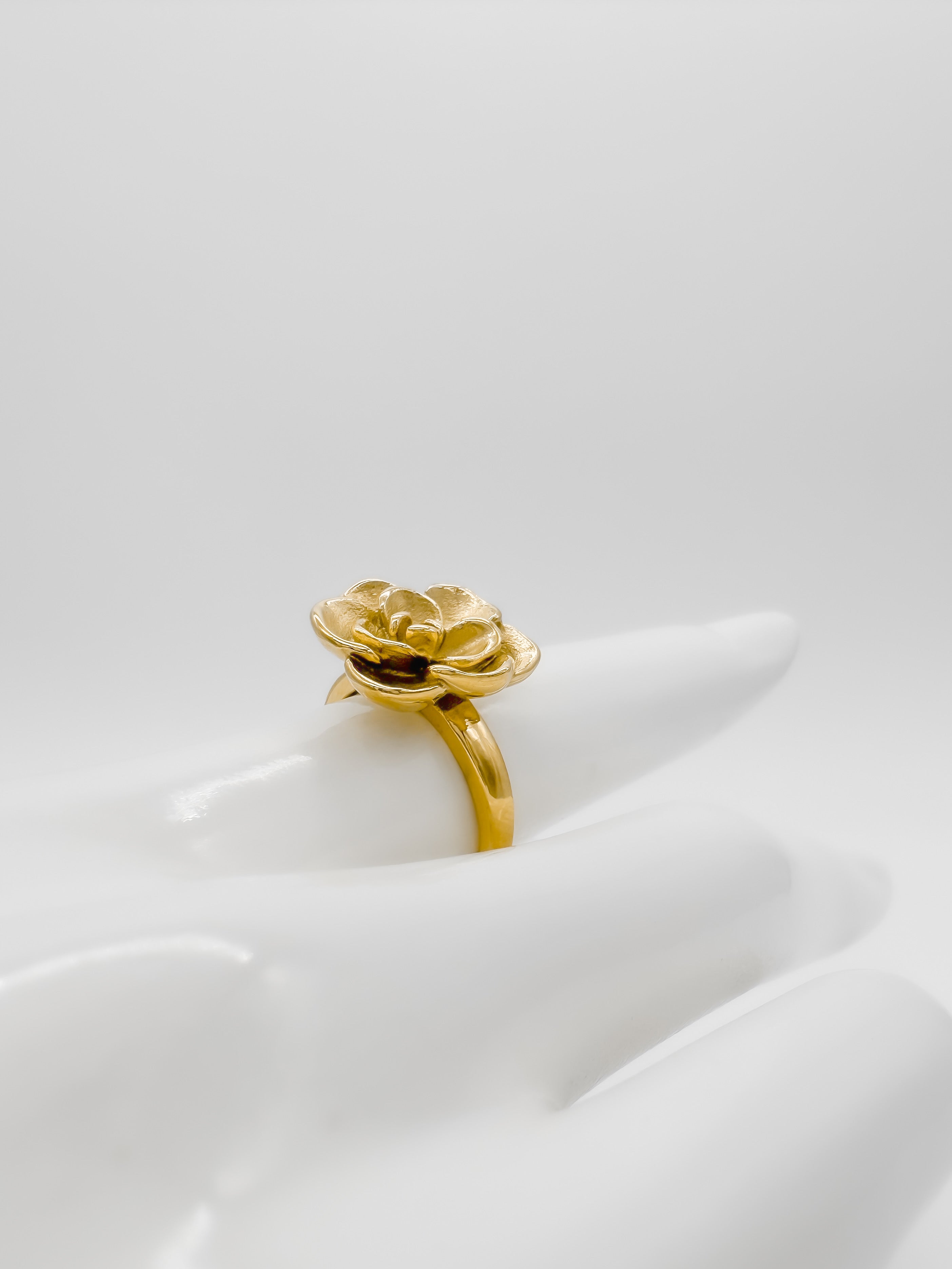 Anillo Rosetón