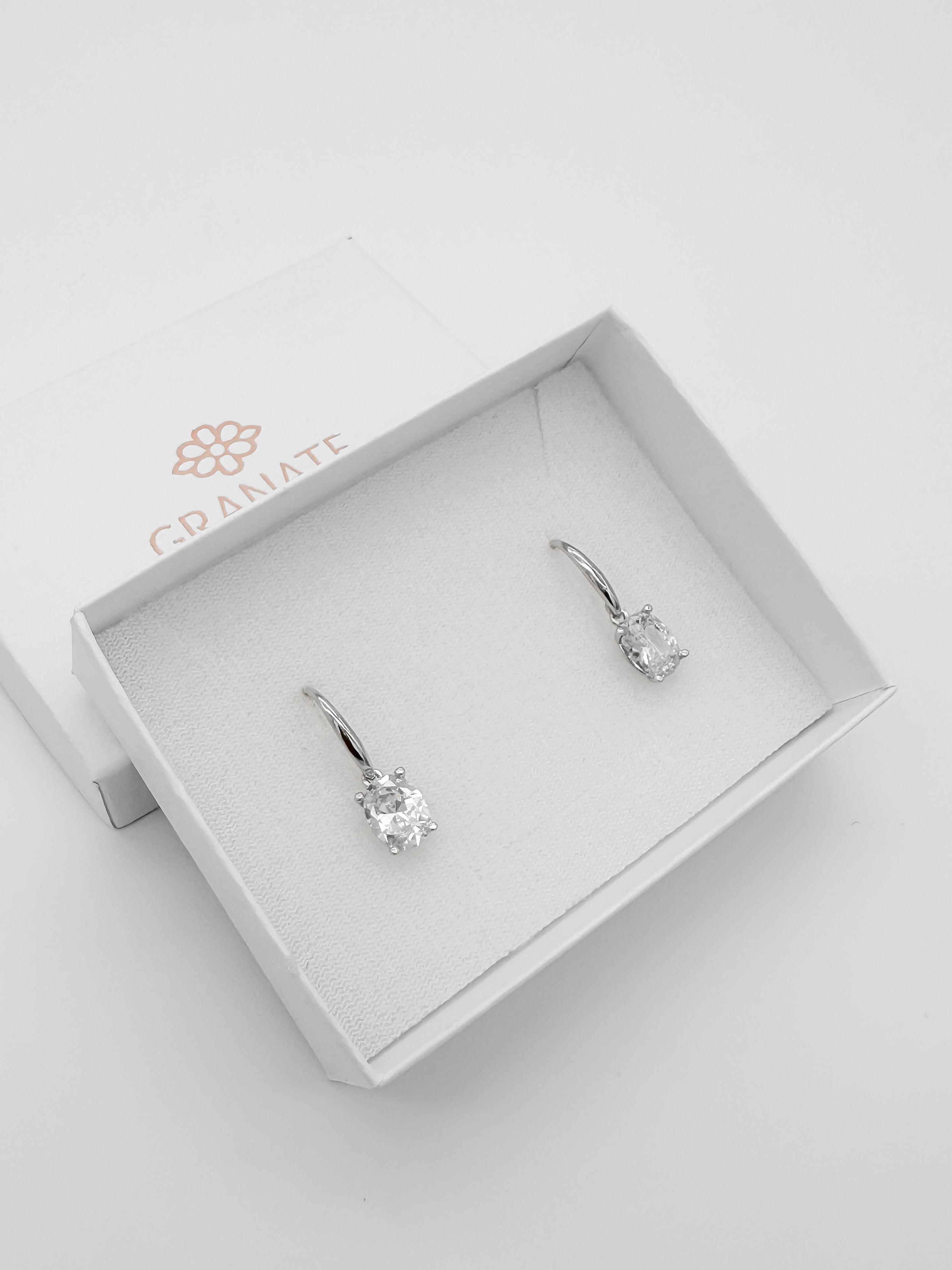 Arete Oval de Plata