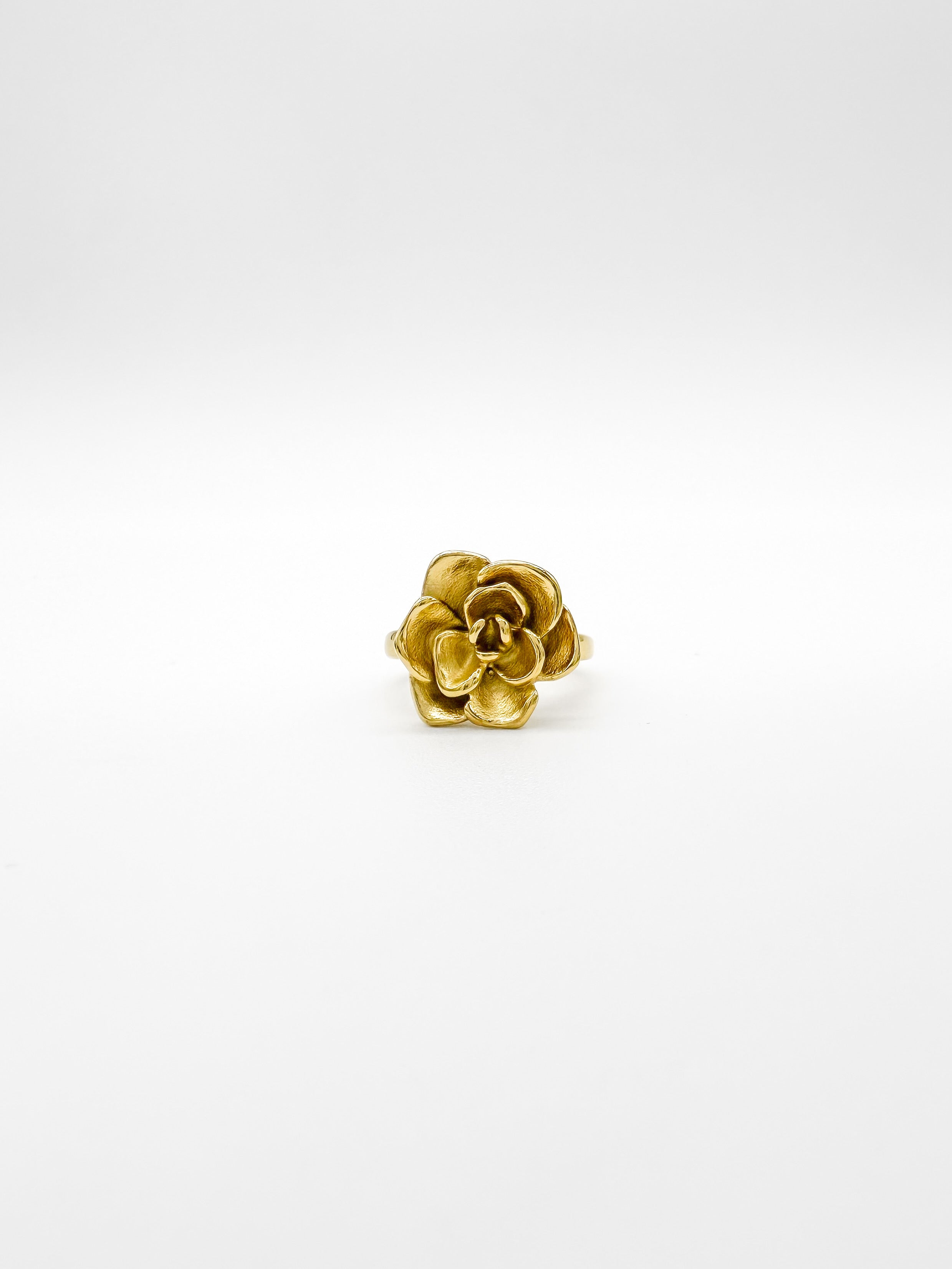 Anillo Rosetón