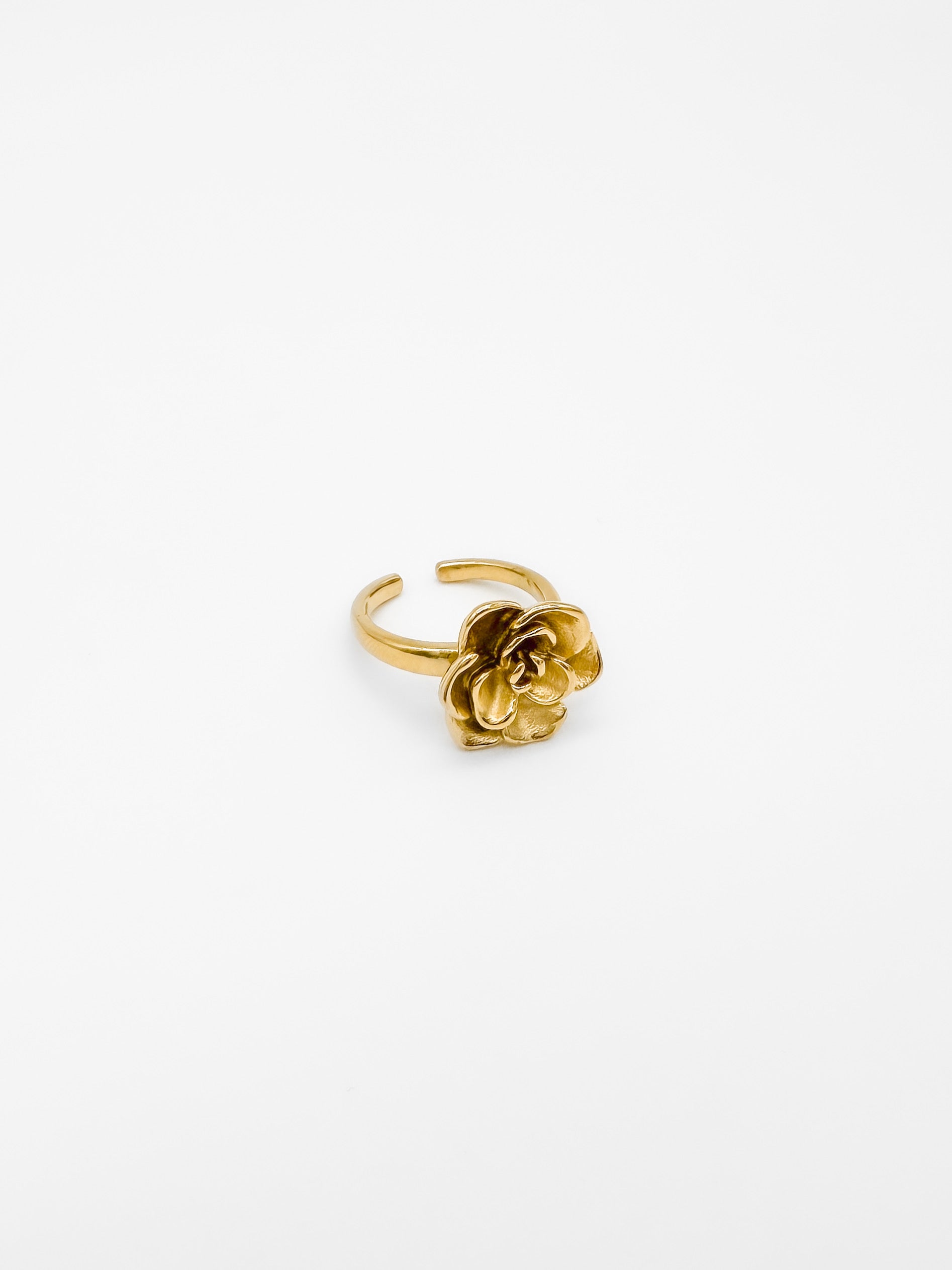Anillo Rosetón
