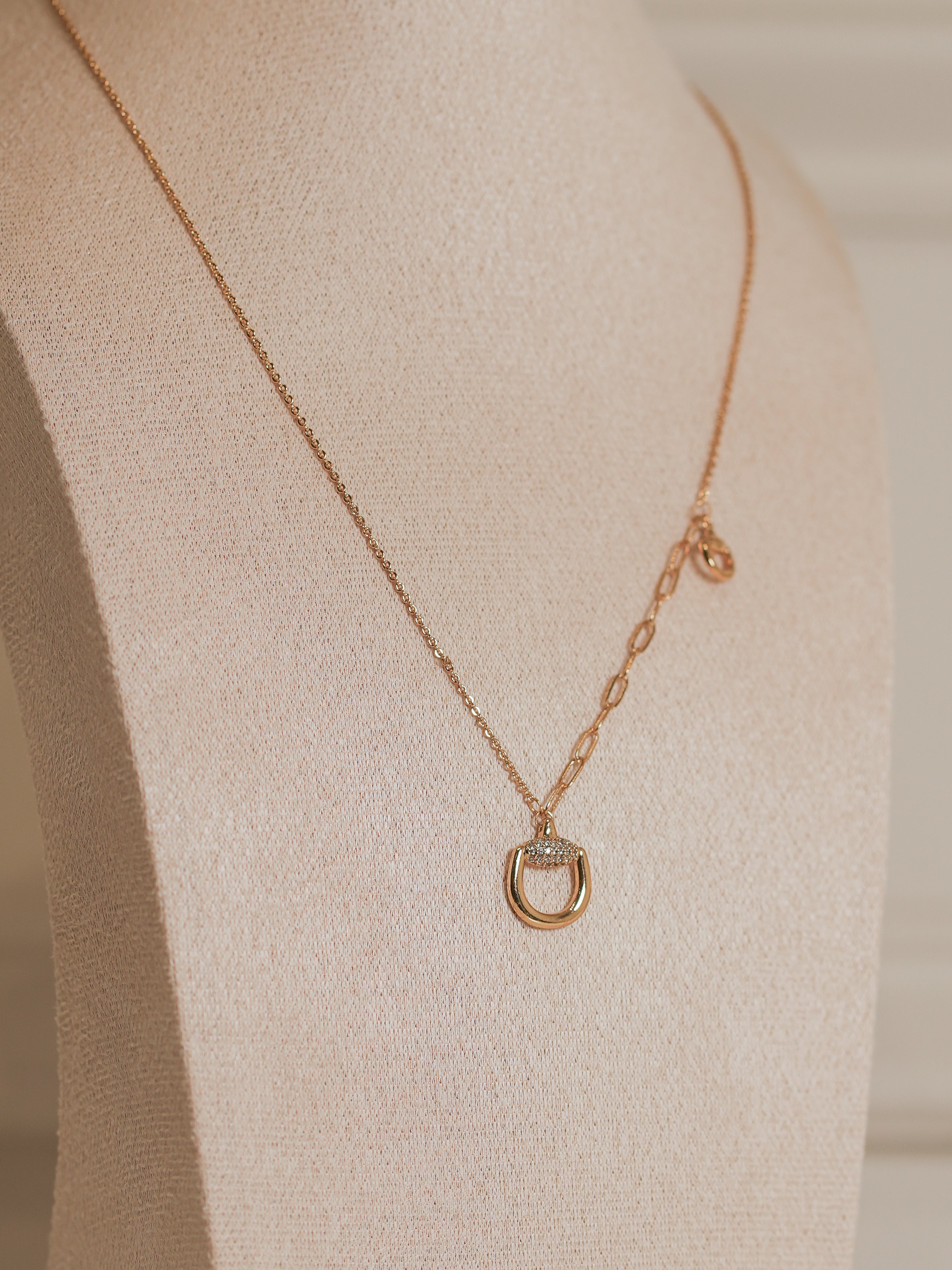 Collar Hebilla