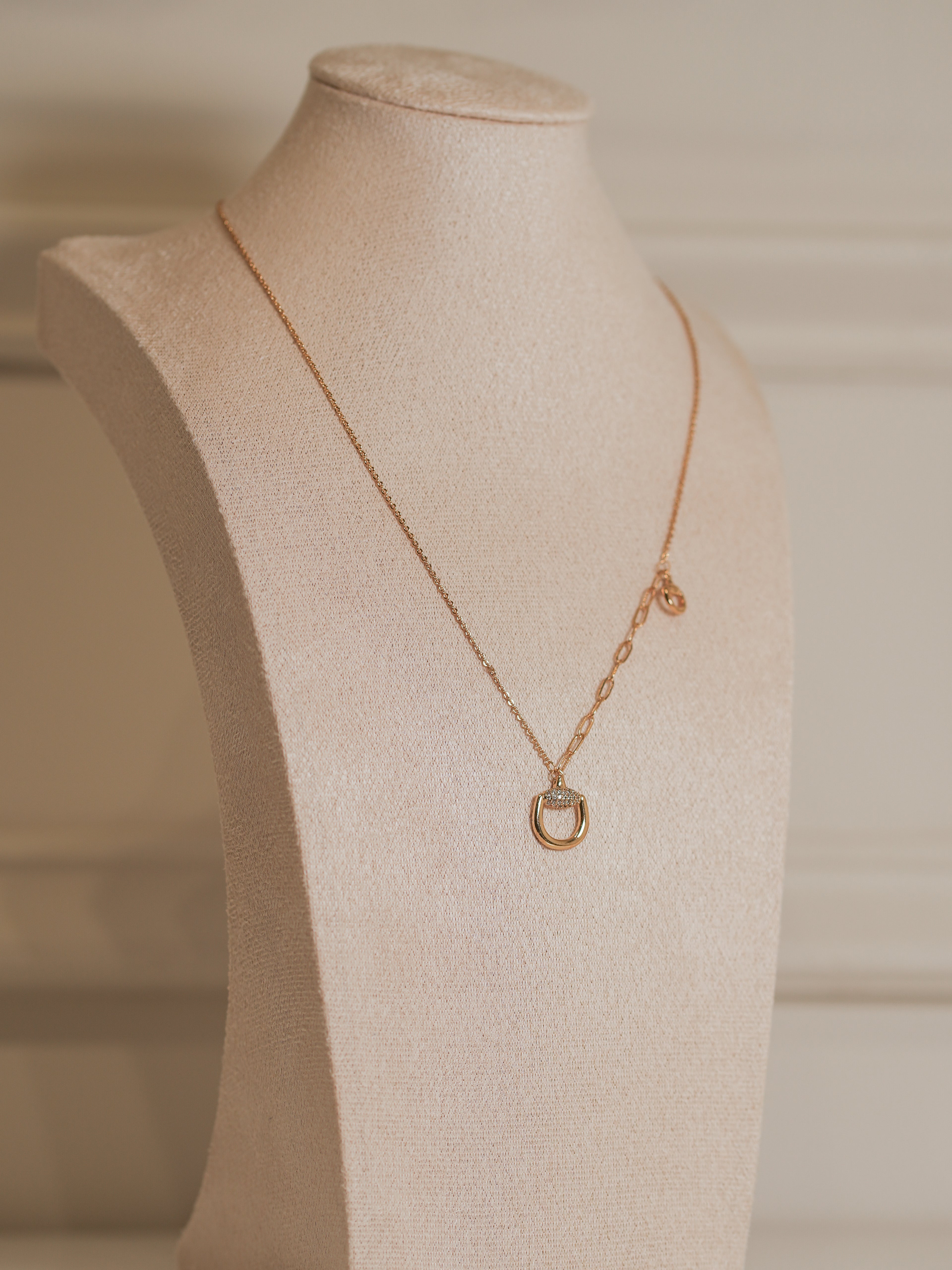 Collar Hebilla