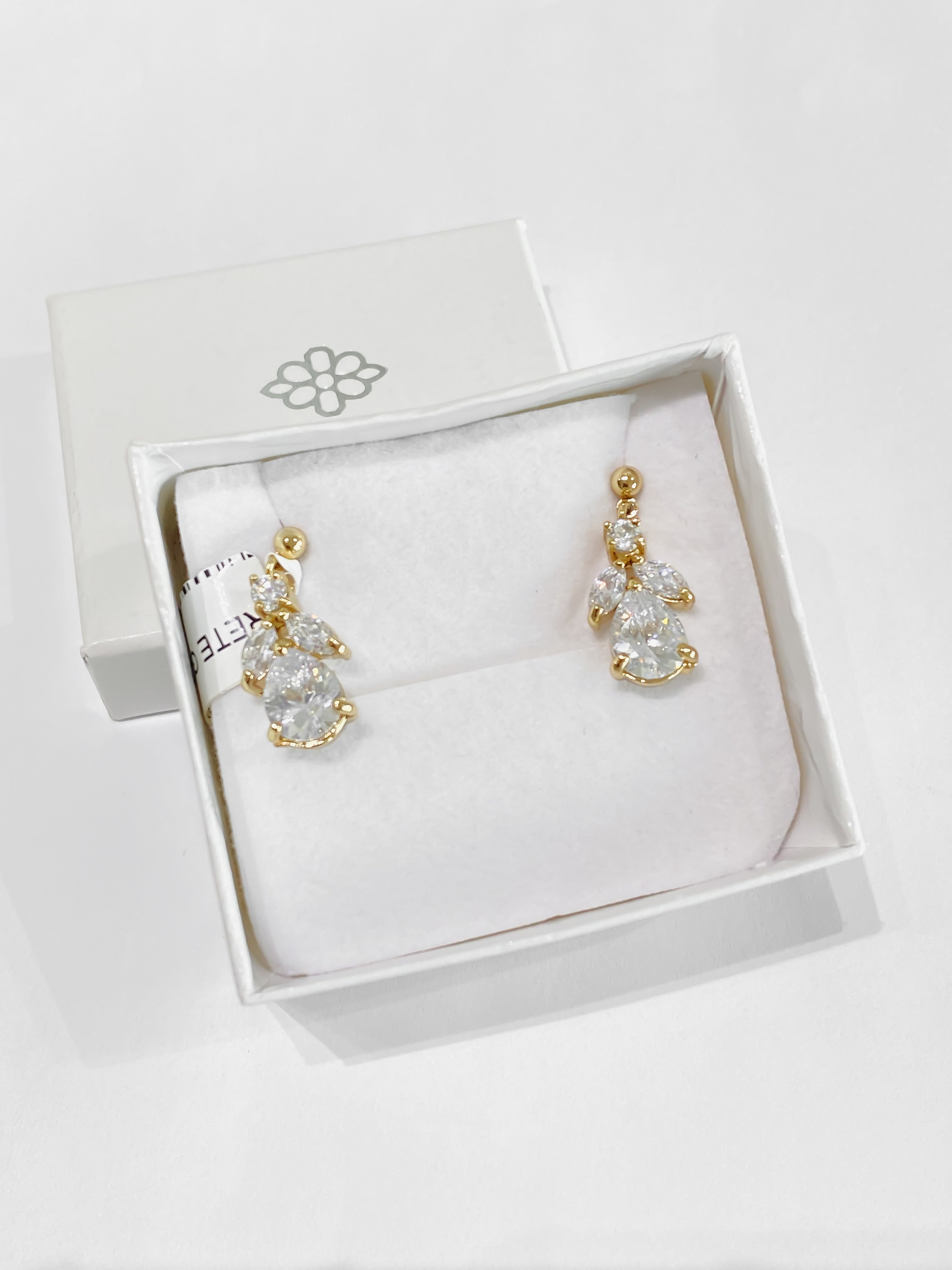 Aretes Gota con Hojas