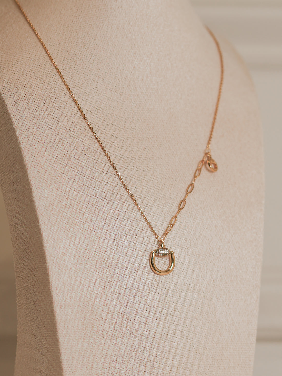Collar Hebilla