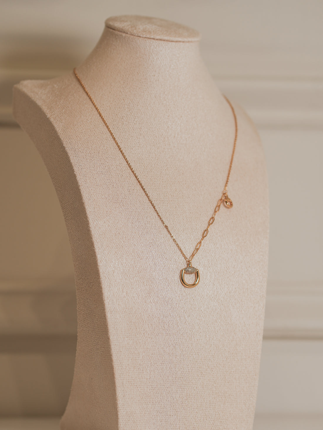 Collar Hebilla