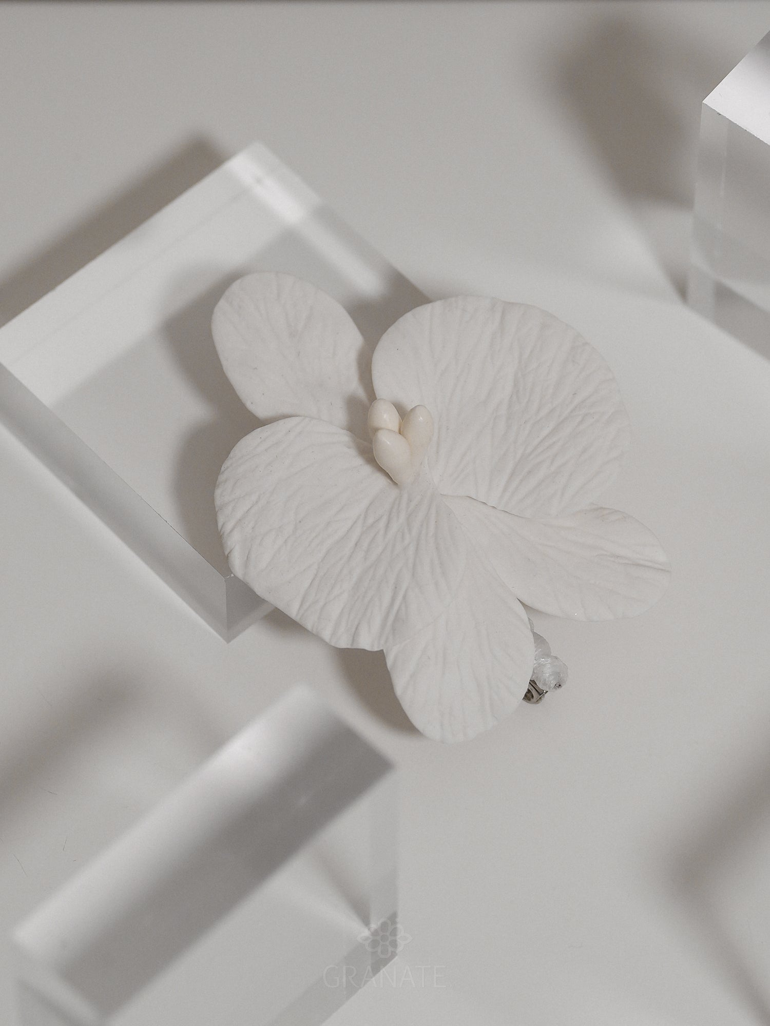 Boutonniere Orquídea para Caballero