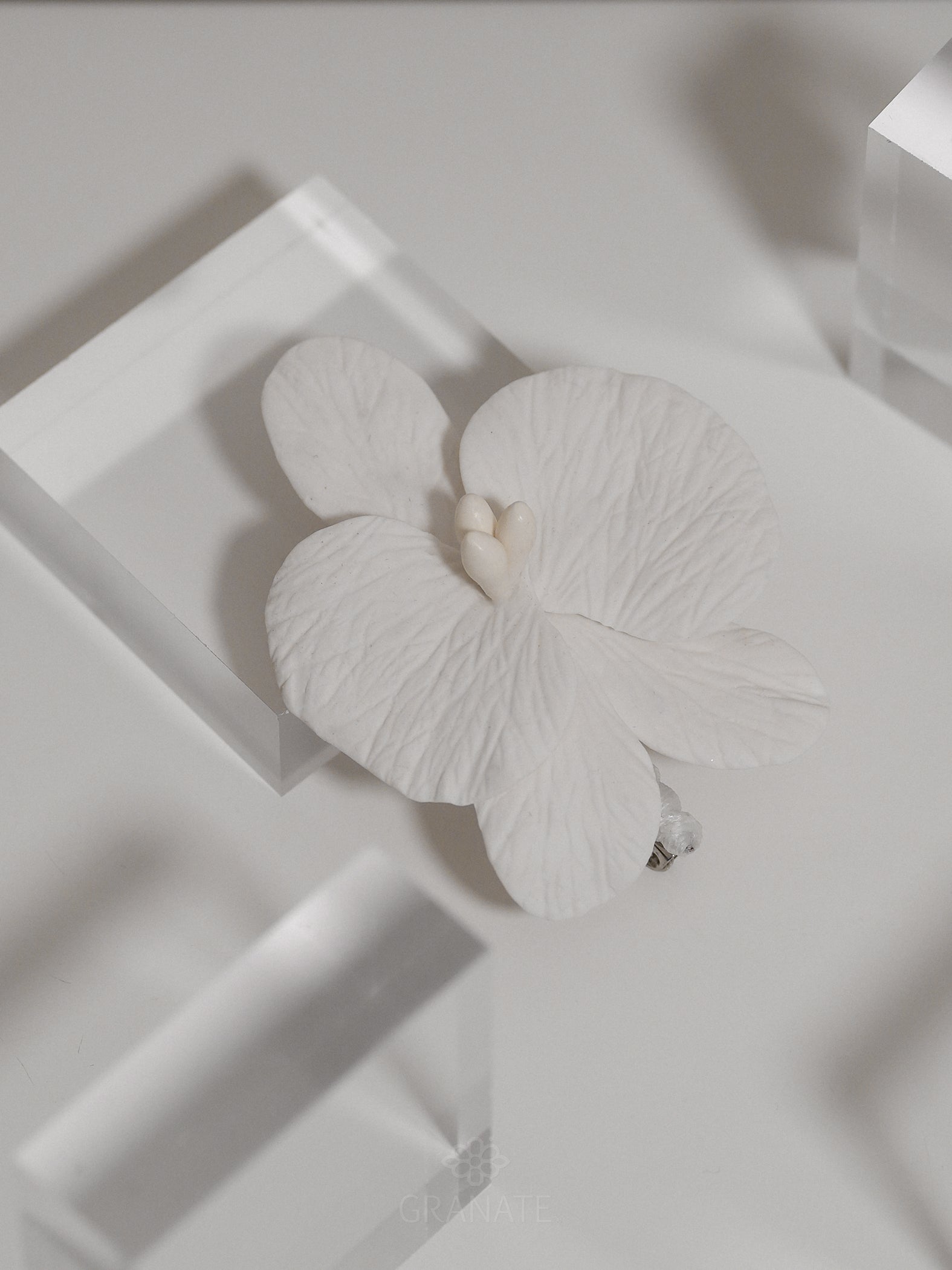 Boutonniere Orquídea para Caballero